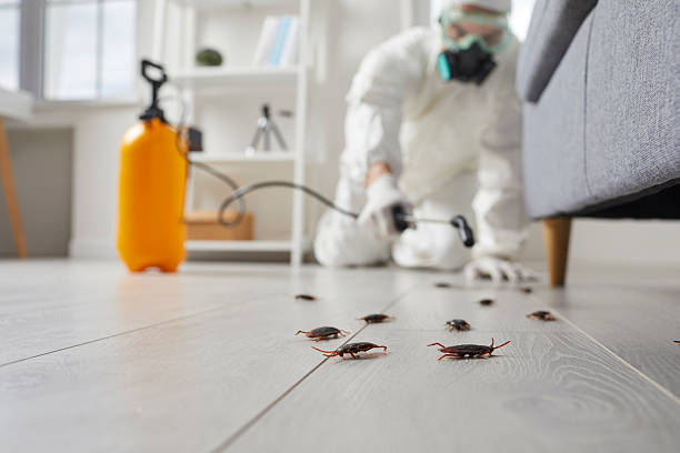 Commercial Kitchen Cockroach Control in Ashburn